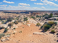 Start of the trail