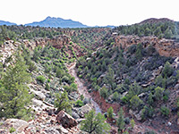 Canyon of Huber Wash