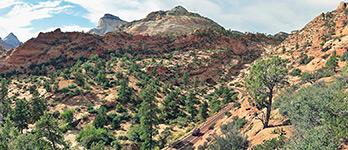 Zion National Park