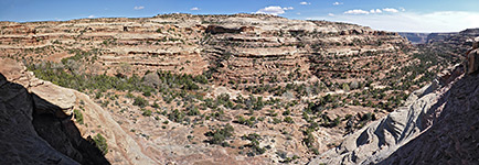 Panorama of the canyon