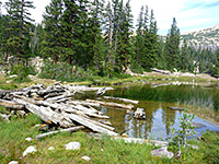 Logs by Jordan Lake