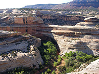 Kachina Bridge, from the overlook