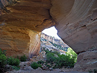 Kachina Bridge Trail