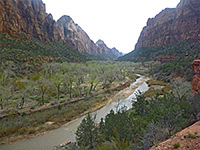 Observation Point Trail