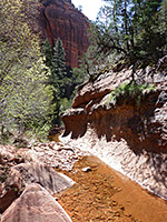 La Verkin Creek Trail