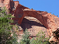 Kolob Arch Trail