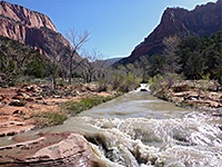 La Verkin Creek Trail