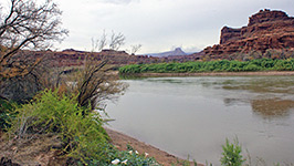 Colorado River, Lathrop Canyon