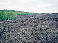 Lava field near Cedar Breaks