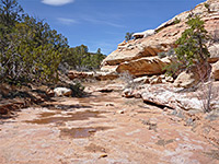 Upper end of the canyon