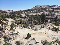 Path near Mamie Creek