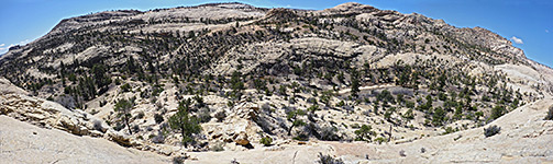 Slopes above Mamie Creek