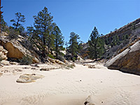 Sandy creekbed