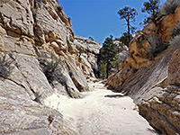 Cliff-lined ravine