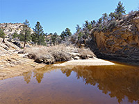 Pool on Mamie Creek