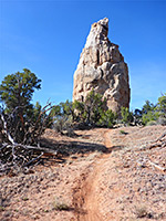 Mammoth Geyser