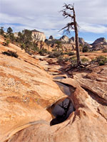 Many Pools Canyon