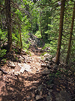 Miners Basin Trail