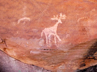 Deer petroglyph