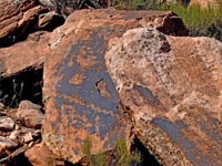 Petroglyphs on a boulder