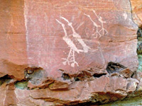 Sandhill crane petroglyphs