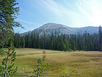 Meadow beneath Mount Agassiz