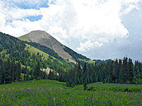 Meadow below Mount Tomasaki