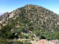 The summit hill