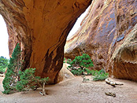 Underneath Navajo Arch