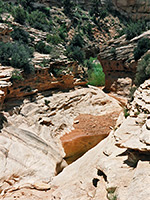 Pool in Armstrong Canyon
