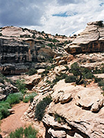 Armstrong Canyon