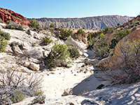 Sandy wash