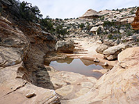 Pool in the north fork