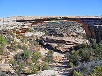 Owachomo Bridge Trail