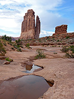 Pools in Park Avenue