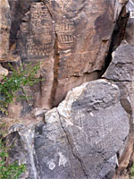 Many petroglyphs