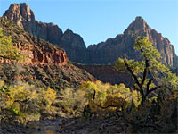 Cliffs and cottonwoods