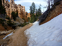 Snow along the trail