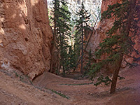 Steep section of the trail