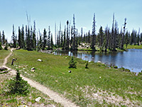 Path near Petit Lake