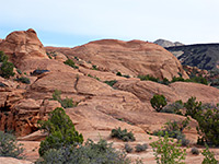 Petrified Dunes