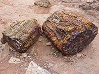 Two petrified logs