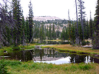 Pond beside Picturesque Lake