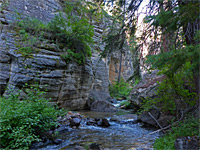 Pine Creek Box Trail