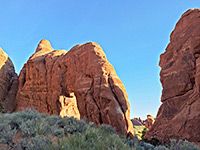 Pine Tree Arch