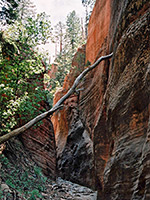 Narrows in Pine Spring Wash