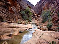 Red Reef Trail