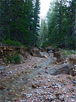 Rattlesnake Creek