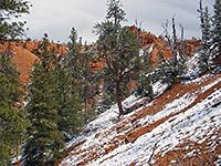 Snowy hillside