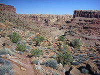 Saddle near Red Lake Canyon